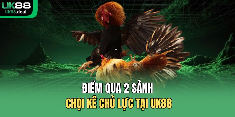 Đá Gà UK88 | Đấu Trường Trực Tuyến Uy Tín Số 1 Châu Á 2 Điểm qua 2 sảnh chọi kê chủ lực tại UK88