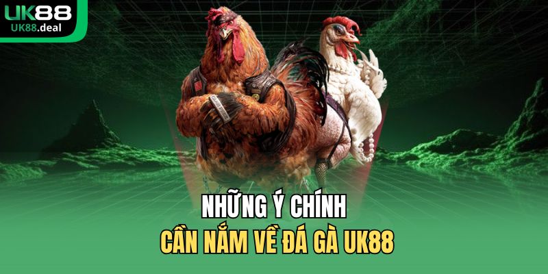 Đá Gà UK88 | Đấu Trường Trực Tuyến Uy Tín Số 1 Châu Á 1 Những ý chính cần nắm về đá gà UK88